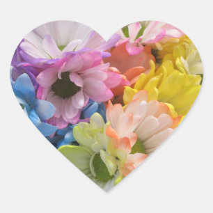 Stickers - MultiColored Daisies II
