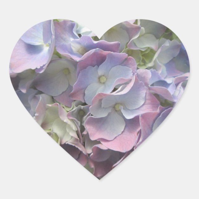 Stickers - Pastel Rainbow Hydrangea (Front)