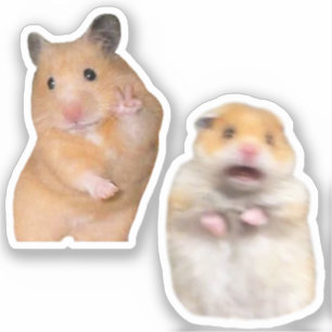 Stickers Peace + Scared Hamster Meme