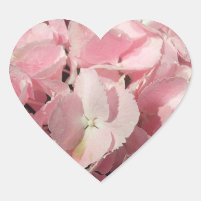 Stickers - Pink Hydrangea (Front)