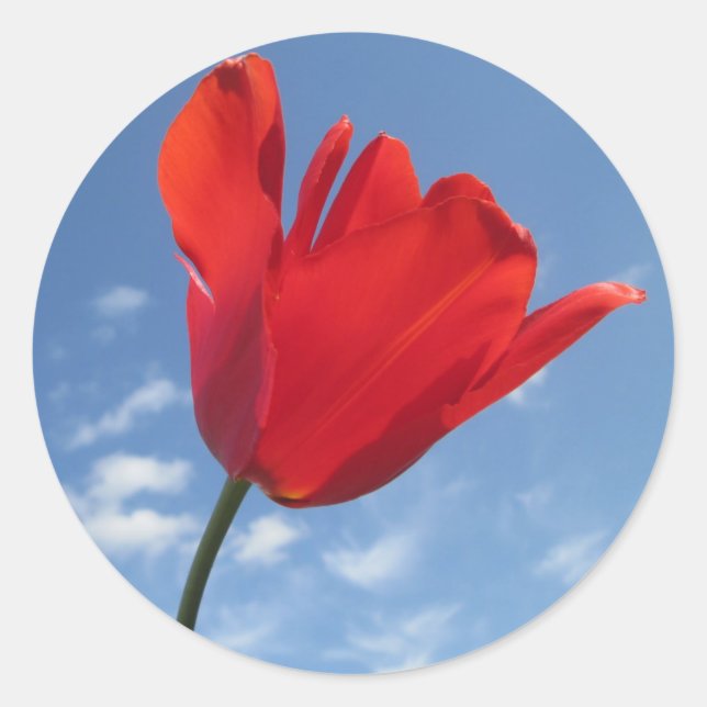 Stickers - Red Tulip Blue Sky (Front)