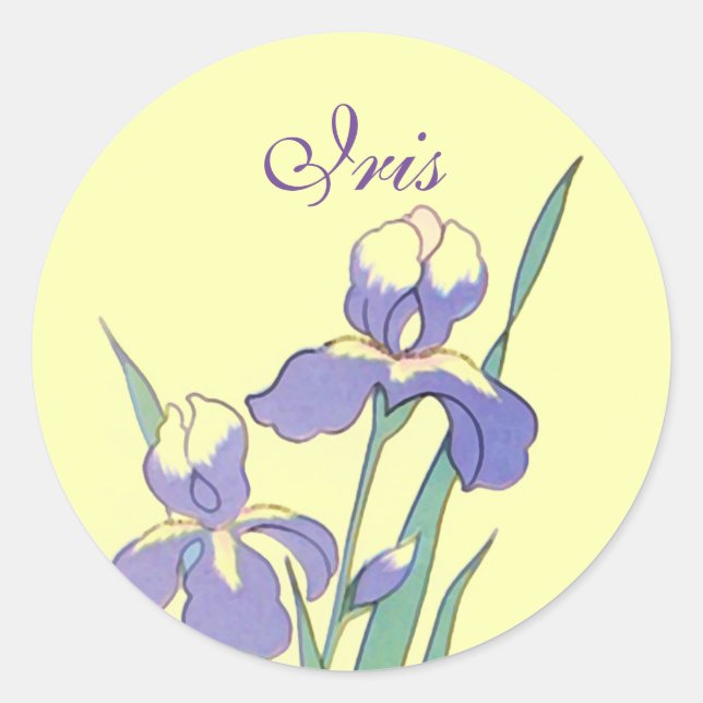 Stickers Round Dot Iris Personalised Custom Seals (Front)