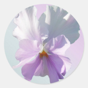 Stickers - Ruffled Pink Pansy