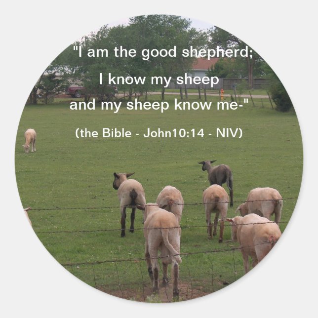 Stickers/Sheep Classic Round Sticker (Front)