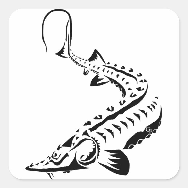 STICKERS - STURGEON - TRIBAL SHOVELNOSE (Front)