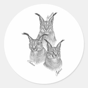 Stickers - The Planets