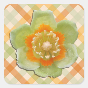 Stickers - Tulip Poplar Tulip on Checks