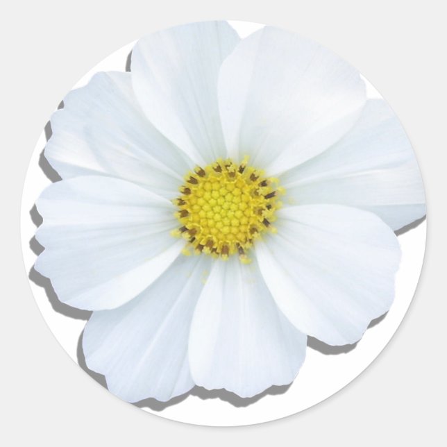 Stickers - White Cosmos (Front)