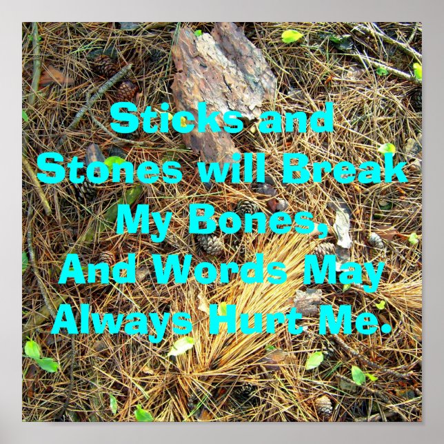 Sticks and Stones will Break My Bones...Poster Poster (Front)
