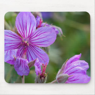 Sticky geranium wildflowers mouse pad