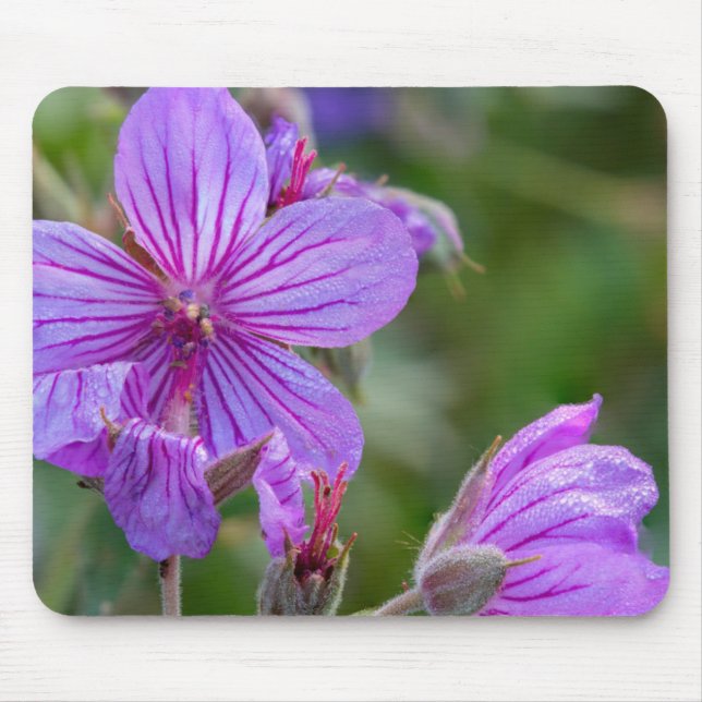 Sticky geranium wildflowers mouse pad (Front)