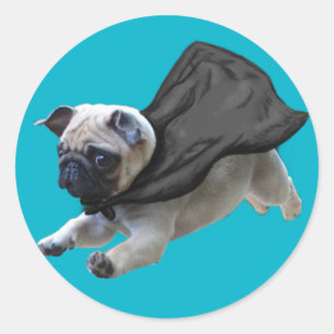 Sticky Pugs Classic Round Sticker