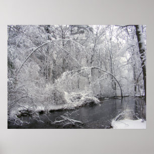 Sticky Snow 27 ~ Print