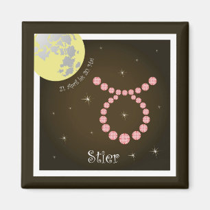 Stier 21. April bis 20. Mai Magnet