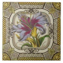 Stiking Victorian Hand Coloured TransferWare Repro