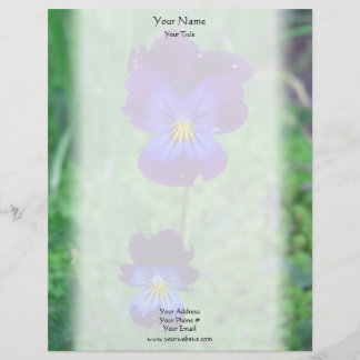 Still Alive Pansies Letterhead Template