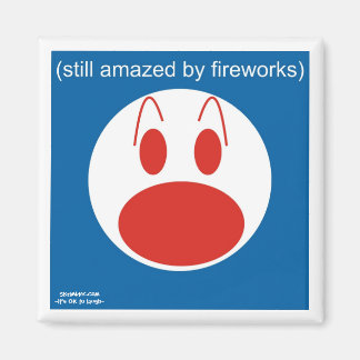 Still Amazed By Fireworks Magnet