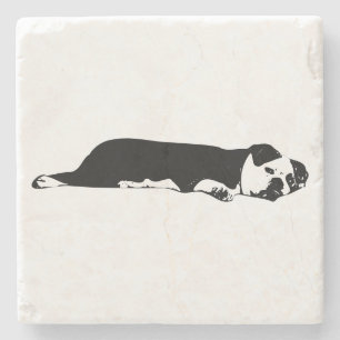 Still Bulldog Coaster