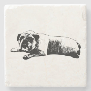 Still Bulldog, Strong Lines Stone Coaster