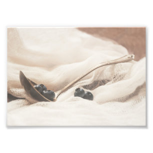 Still-Life Antique Photo Print