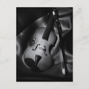 Still-life b&W image of a violin Postcard