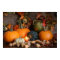 Still Life Harvest  Decoration For Thanksgiving