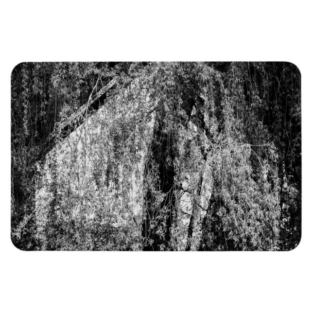 still life home magnet (Horizontal)