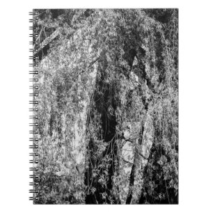 still life home notebook