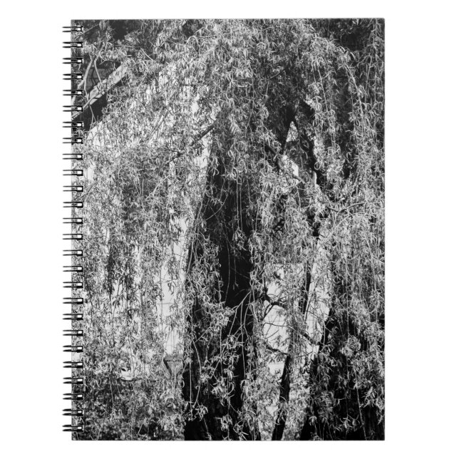 still life home notebook (Front)