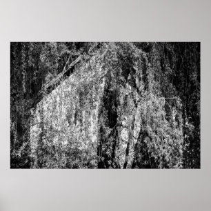 still life home poster