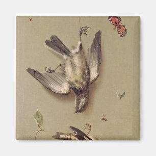 Still Life of Dead Birds and Cherries, 1712 Magnet