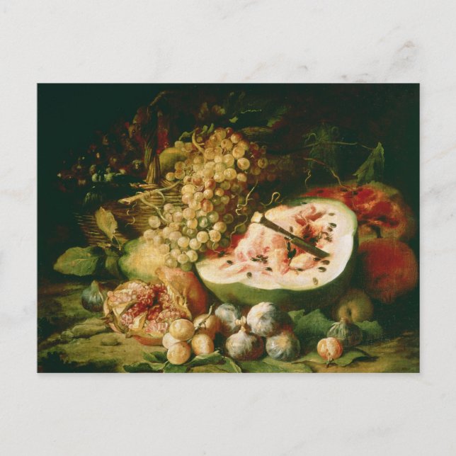 Still Life of Fruit on a Ledge Postcard (Front)