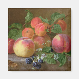 Still Life of Peaches Magnet