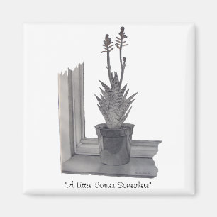 Still life pot plant realist art sketch magnet