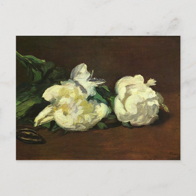 Still life, white peonies - Edouard Manet Postcard (Front)