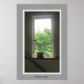 Still Life Window Poster