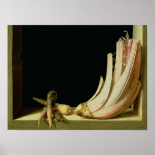 Still Life with a Cardoon Poster