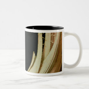 Still Life with a Cardoon Two-Tone Coffee Mug