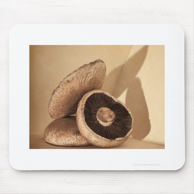 Still life with flat mushrooms and dramatic mouse pad (Front)