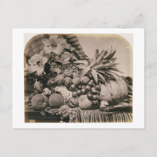Still Life with Fruit, 1860 (sepia photo) Postcard