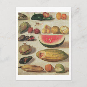 Still Life with Fruit and Toad Postcard