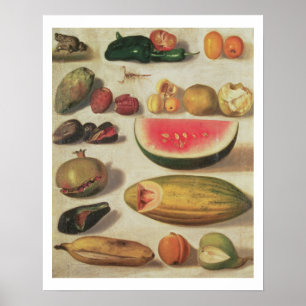 Still Life with Fruit and Toad Poster