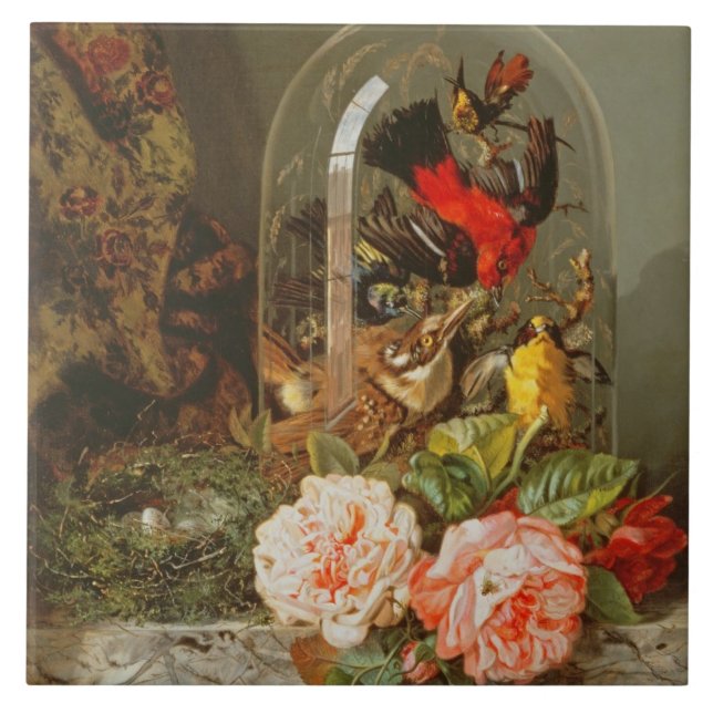 Still Life with Humming Bird in a Glass Dome Tile (Front)
