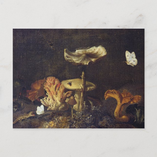 Still Life with Mushrooms and Butterflies Postcard (Front)