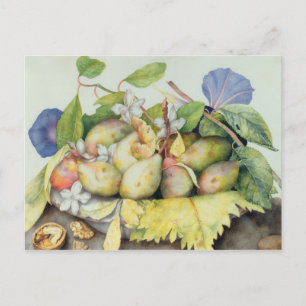 Still life with Plums, Walnuts and Jasmine (w/c on Postcard