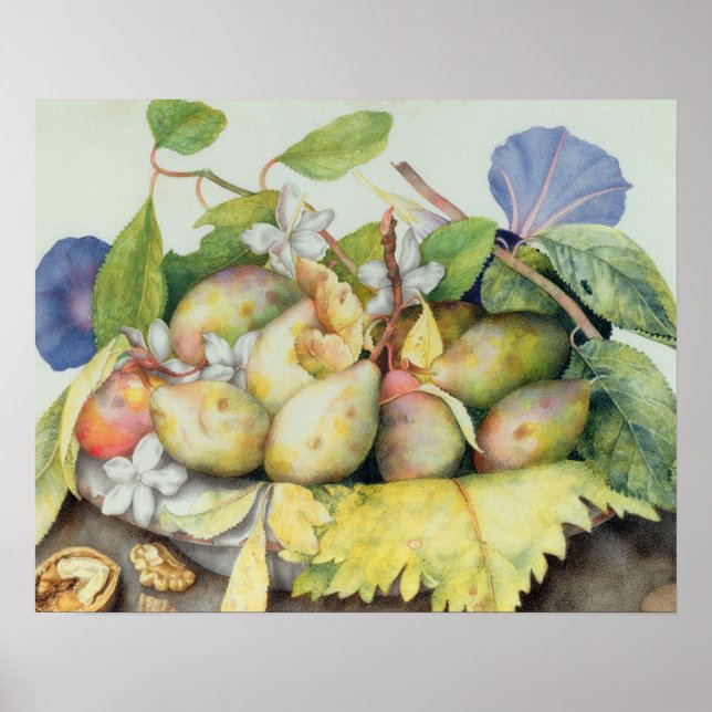 Still life with Plums, Walnuts and Jasmine (w/c on Poster (Front)