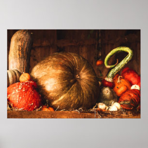 Still Life with Pumpkins and Gourds Print
