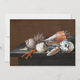 Still Life with Shells   Johann Jakob Dietzsch