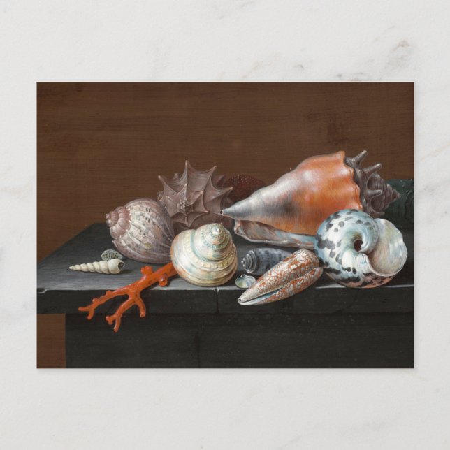 Still Life with Shells | Johann Jakob Dietzsch Postcard (Front)