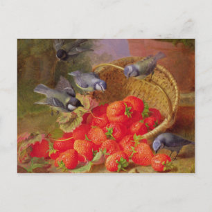 Still Life with Strawberries and Bluetits Postcard